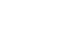 Livraison fleurs Lyon 9